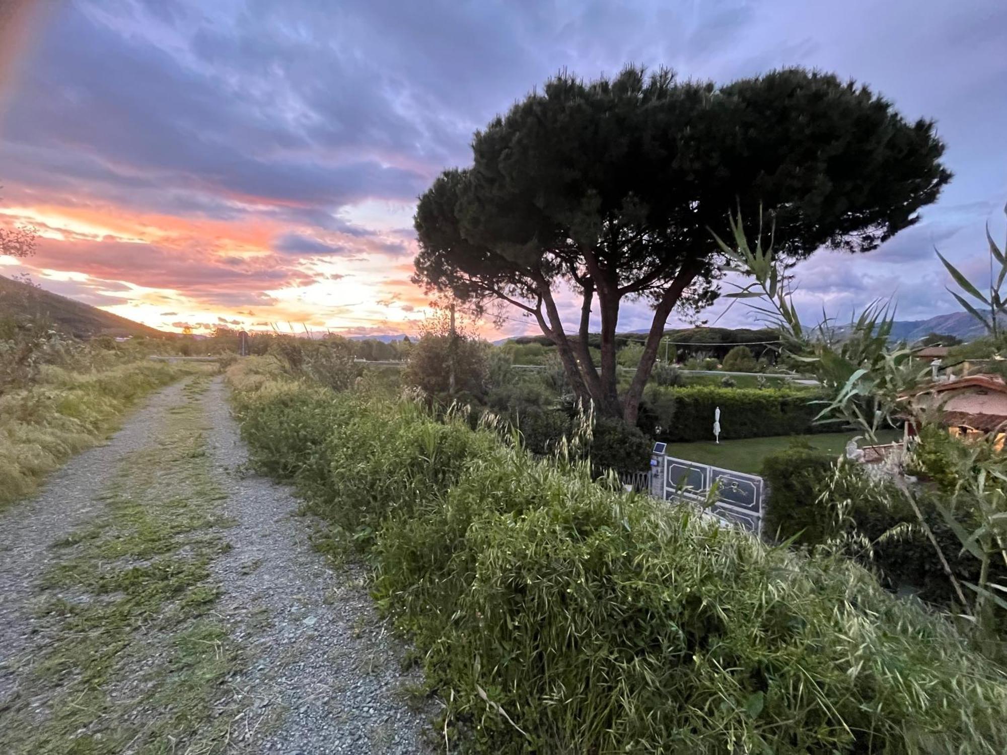 Chalet Camping River Italie Met 2 Slaapkamers Ameglia Eksteriør billede